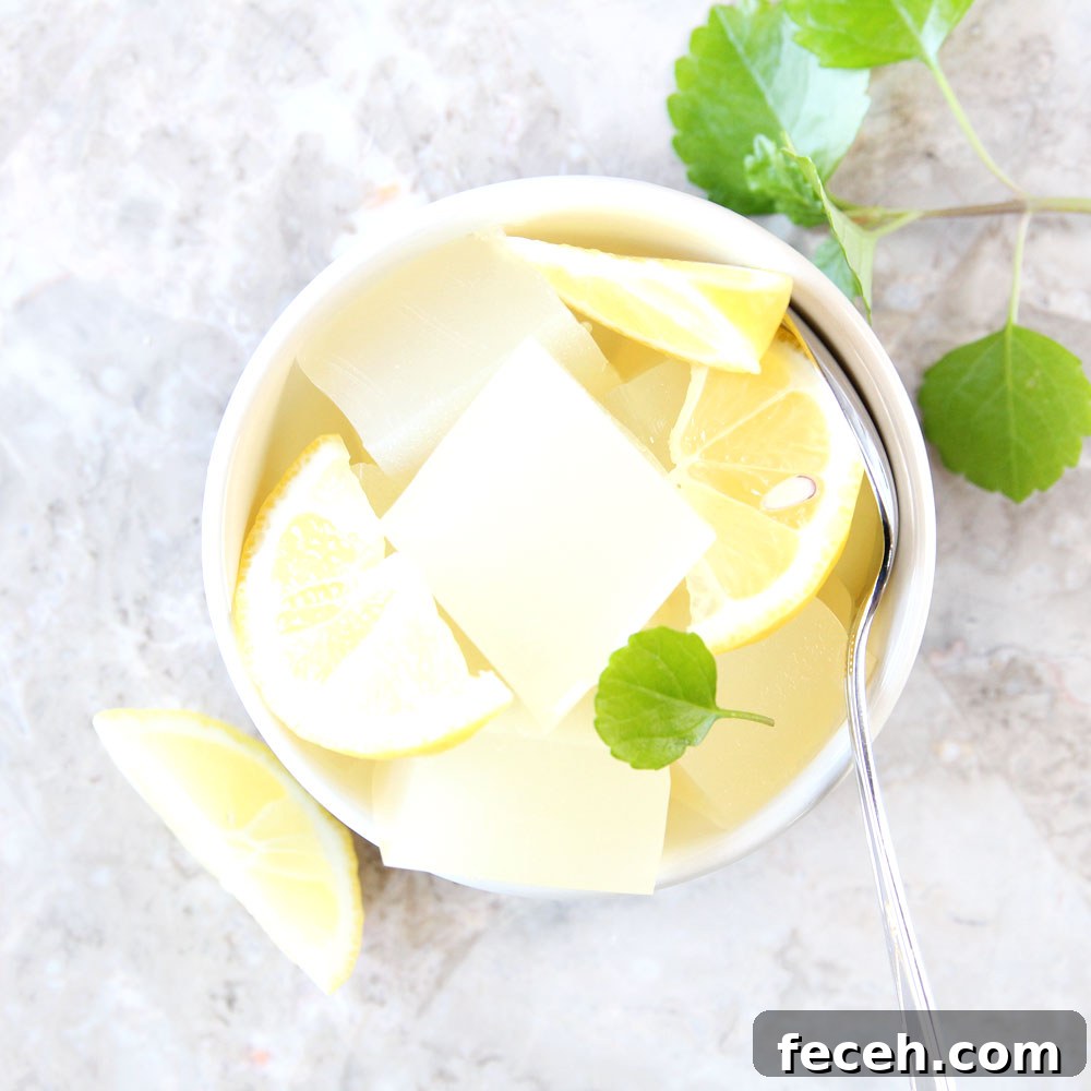 Homemade Lemonade Jello Recipe (Sugar‑Free Option) 7 Strawberry Lemonade Jello