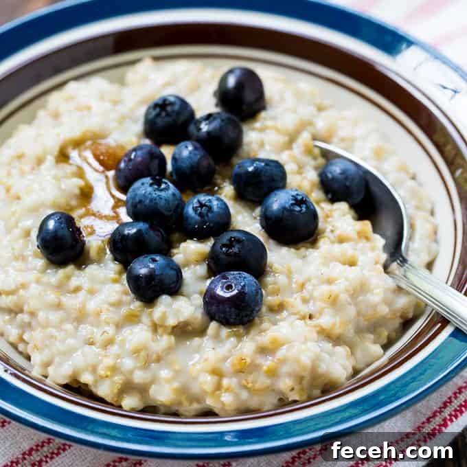 Creamy Steel-Cut Oats in the Instant Pot: Quick Morning Oatmeal 2 Instant Pot Steel Cut Oatmeal