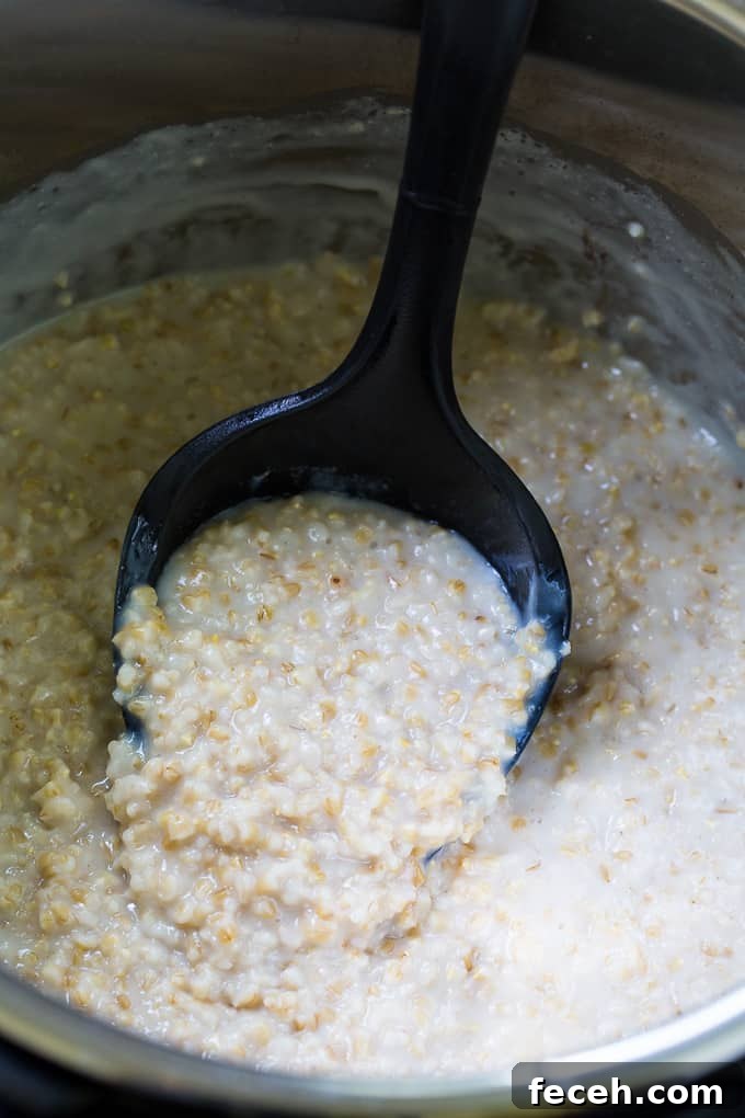 Creamy Steel-Cut Oats in the Instant Pot: Quick Morning Oatmeal 3 Instant Pot Steel Cut Oatmeal