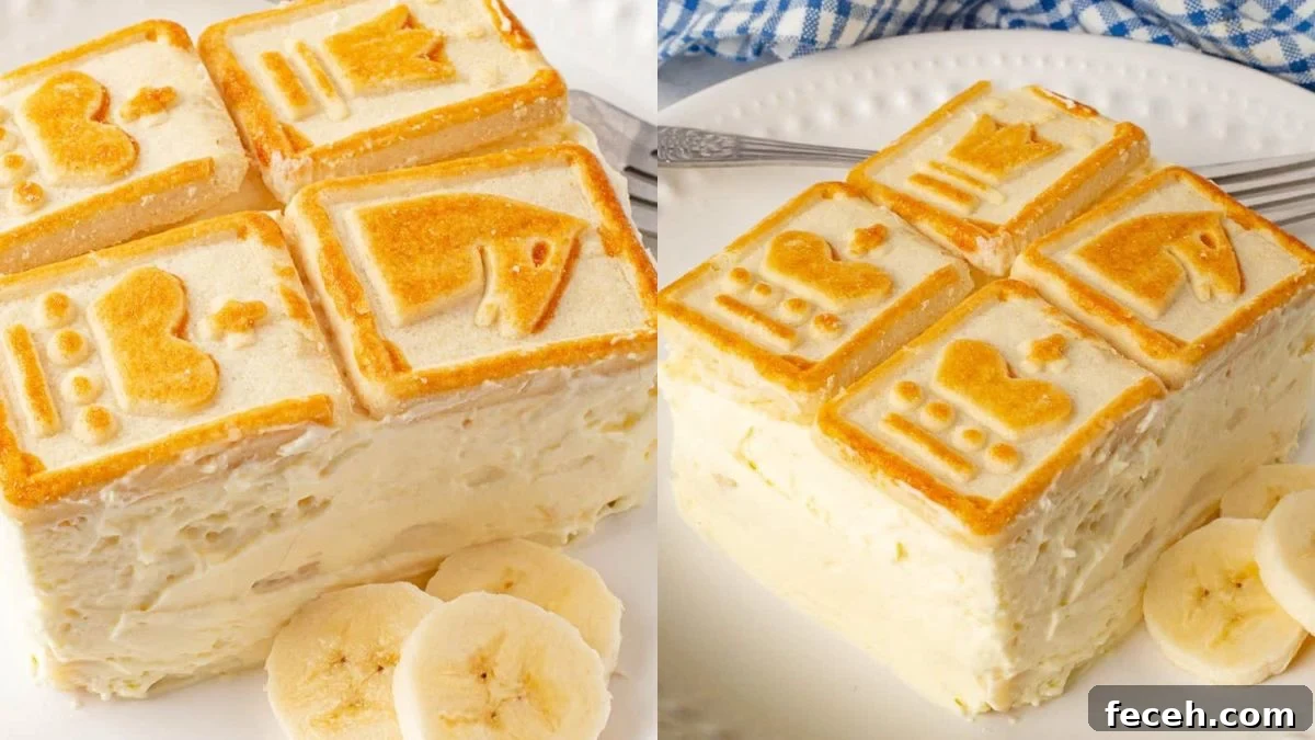 Banana pudding layered in a dish