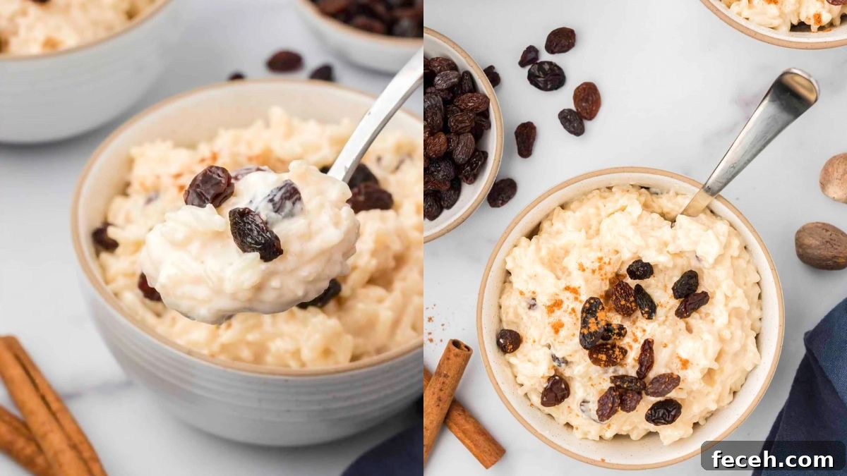Bowl of rice pudding sprinkled with cinnamon