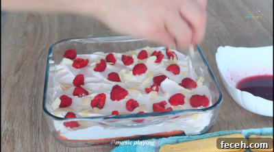 Raspberry Tiramisu Recipe: Creamy Layered Dessert with Fresh Berries 14 img 912 13