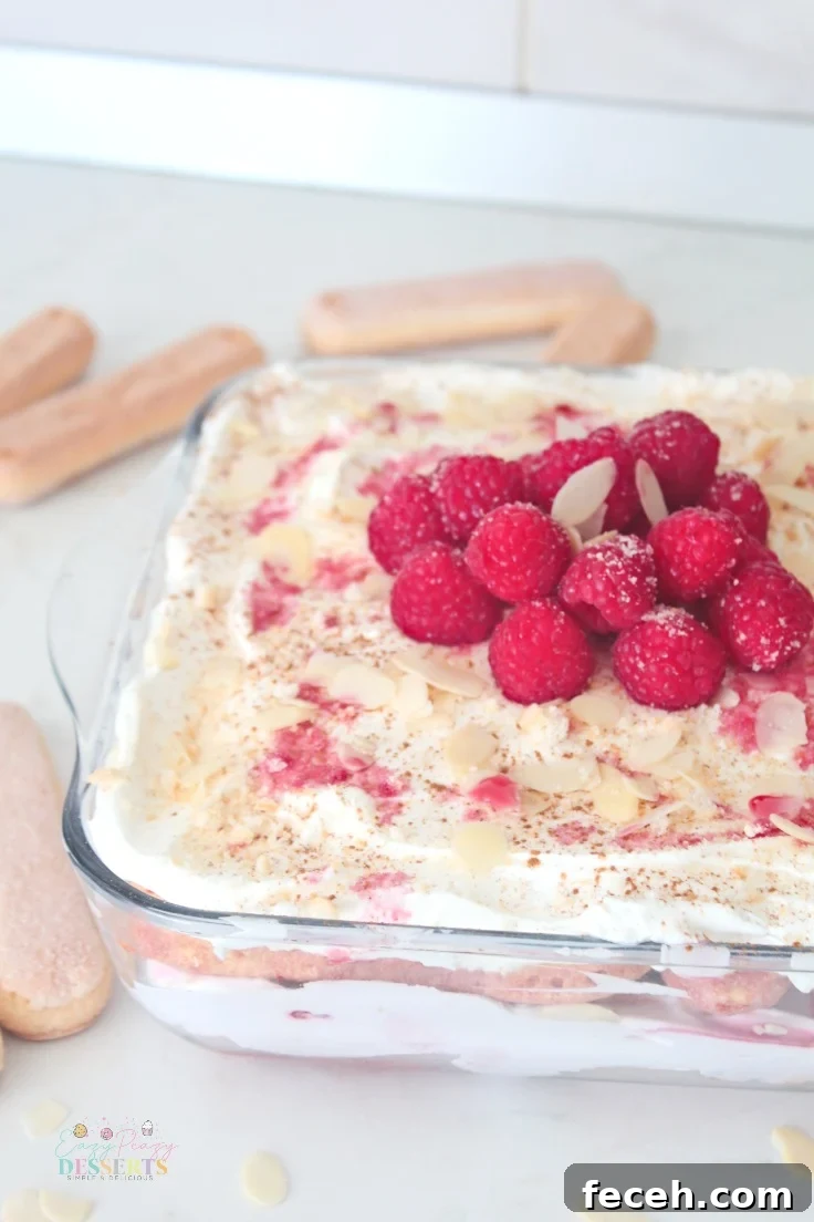 Raspberry Tiramisu Recipe: Creamy Layered Dessert with Fresh Berries 3 No bake raspberry tiramisu