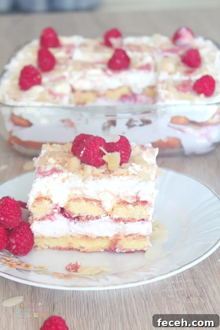 Raspberry Tiramisu Recipe: Creamy Layered Dessert with Fresh Berries 5 Tiramisu with raspberries