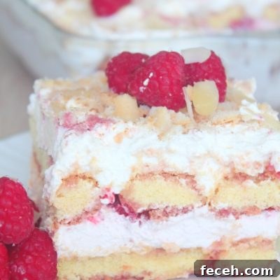 Raspberry Tiramisu Recipe: Creamy Layered Dessert with Fresh Berries 6 Raspberry tiramisu recipe