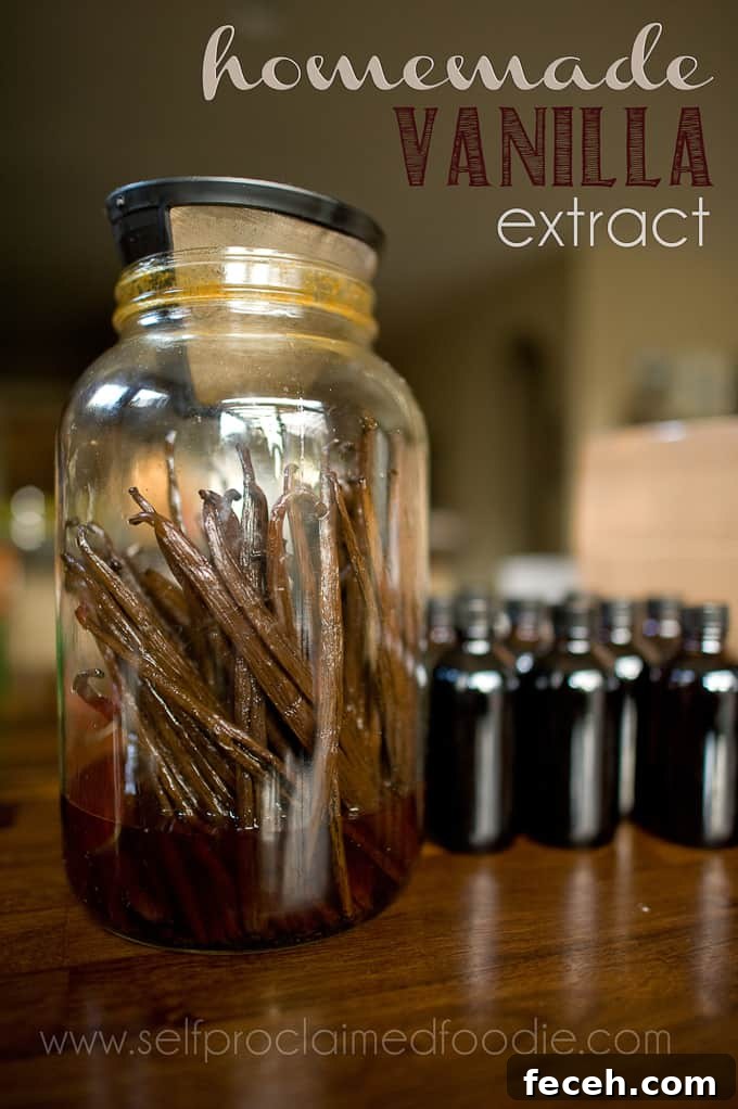 vanilla beans in large jar to make extract