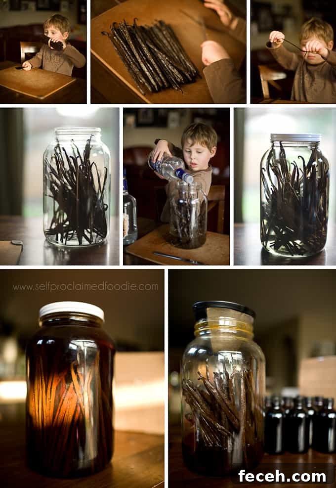 step by step process photos of how to make vanilla extract