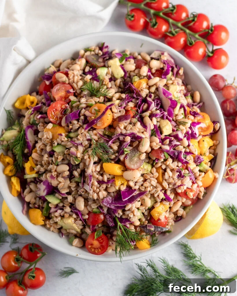 image rainbow white bean and farro salad