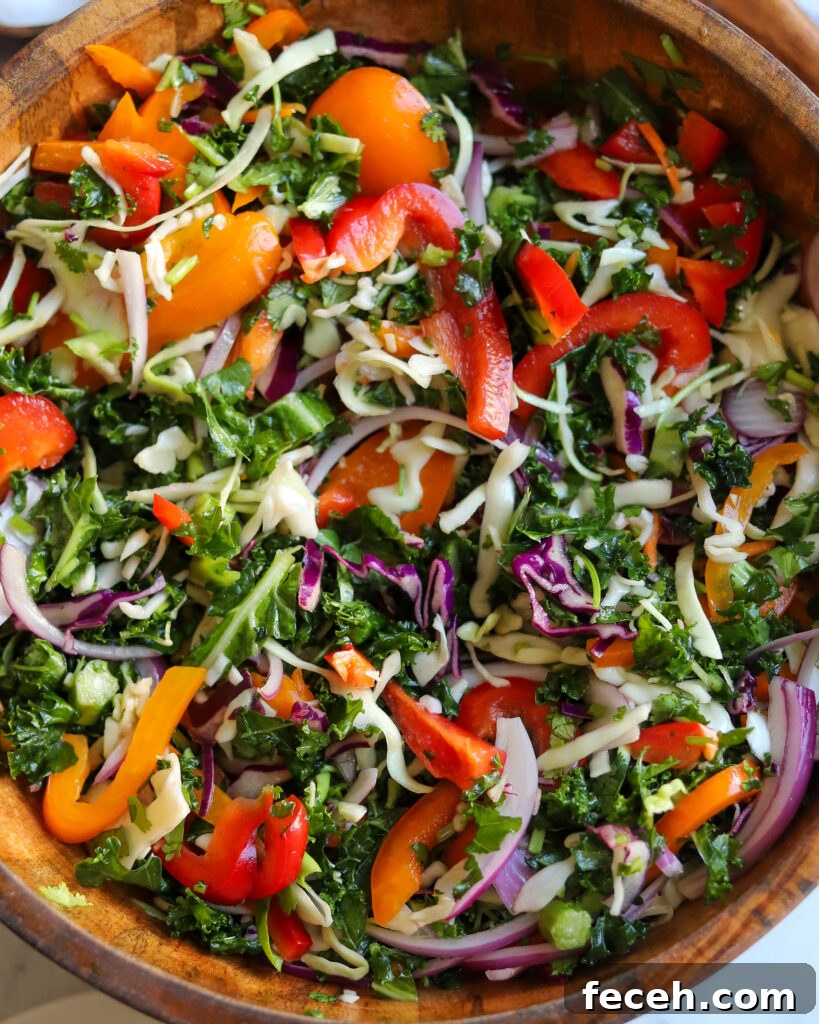close up view of rainbow slaw with lots of colorful veggies, like peppers, kale, red onions, and more.