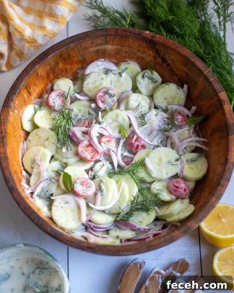 Creamy yogurt cucumber salad with sliced red onions, cherry tomatoes and fresh dill
