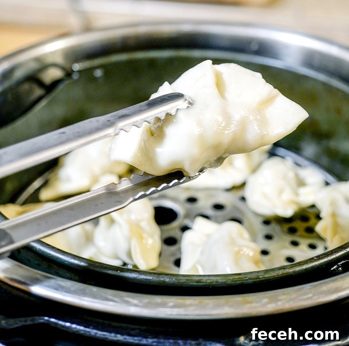 Instant Pot Potstickers