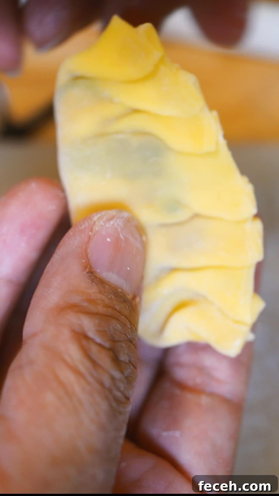 Potstickers