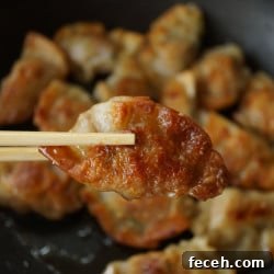 Potstickers