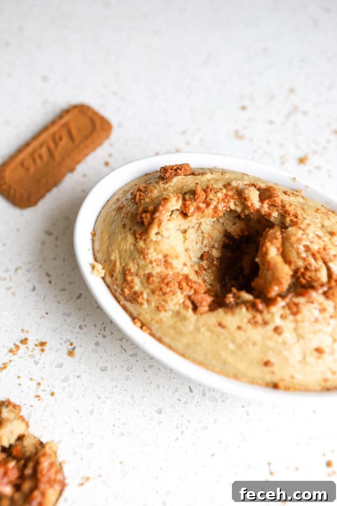 biscoff baked oats in white ramekin with biscoff cookies and creamy texture