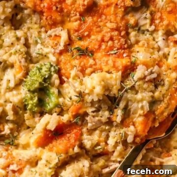 chicken broccoli rice and cheese casserole