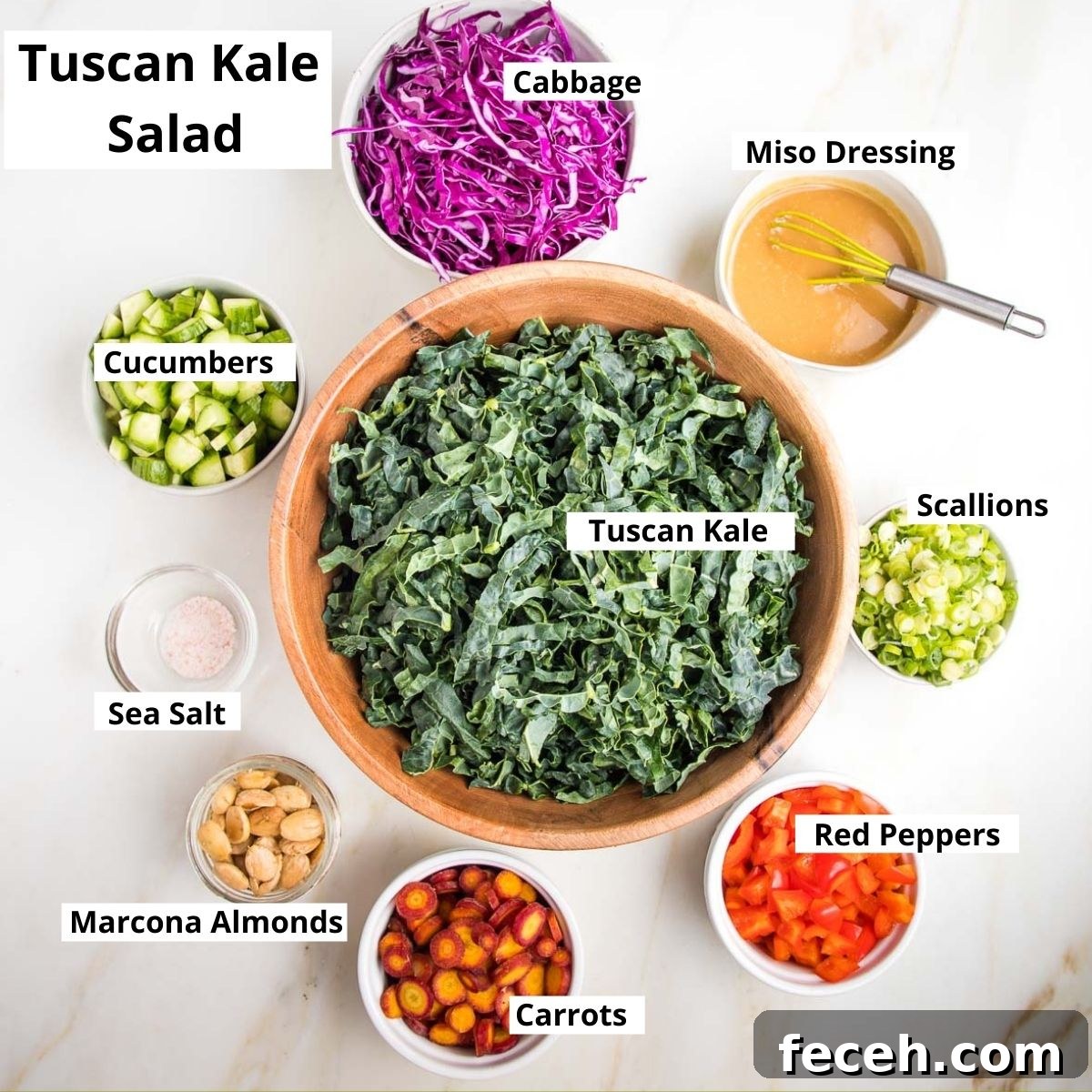 Tuscan Kale Salad Ingredients Labeled: tuscan kale, cabbage, miso dressing, scallions, red peppers, sarrots, marcona almonds, salt, cucumber.
