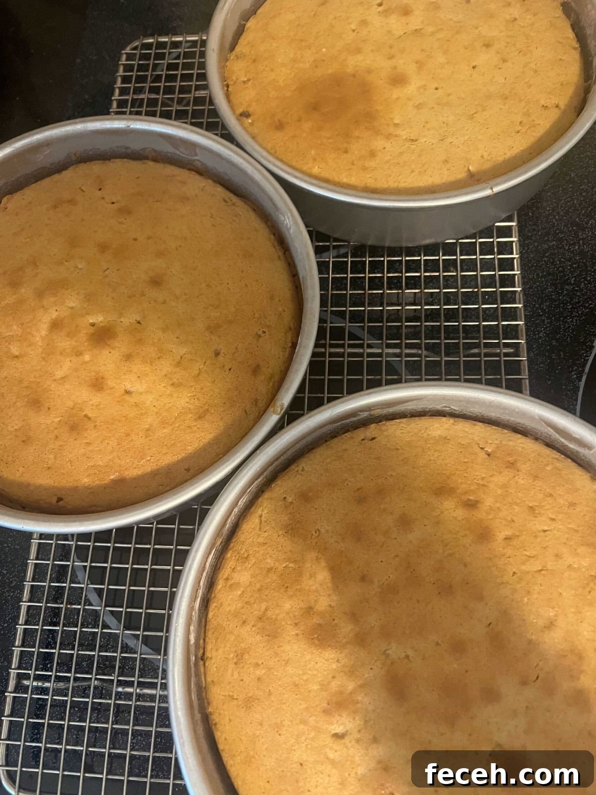 Cake layers in their pans cooling on a wire rack.