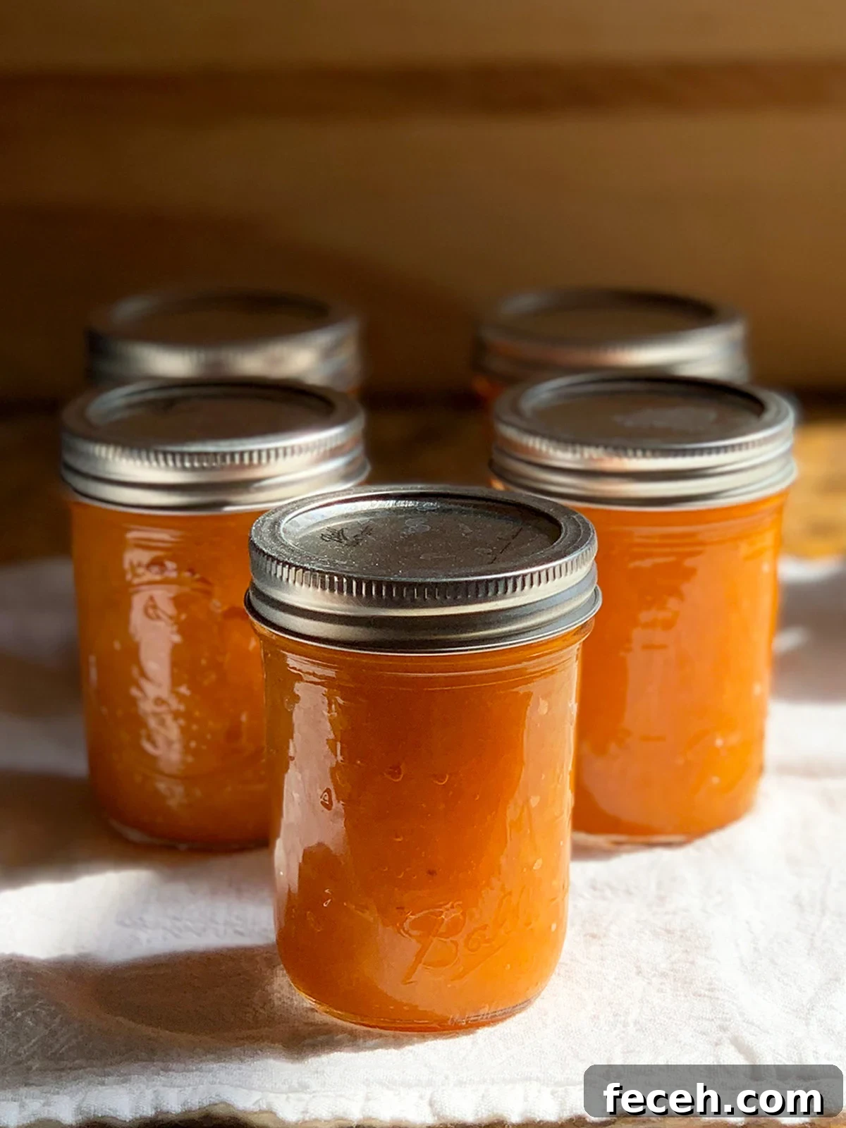 Five jars of apricot preserves cooling off on a white towel.