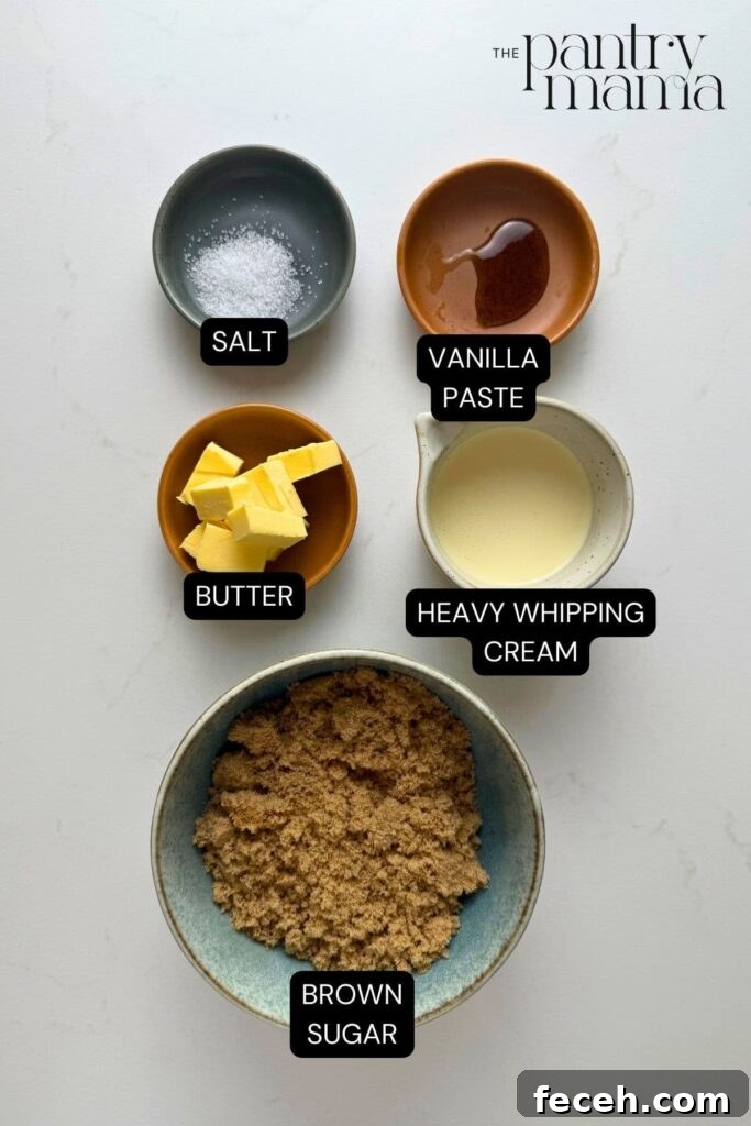 Labeled ingredients on a counter to make homemade caramel dip.